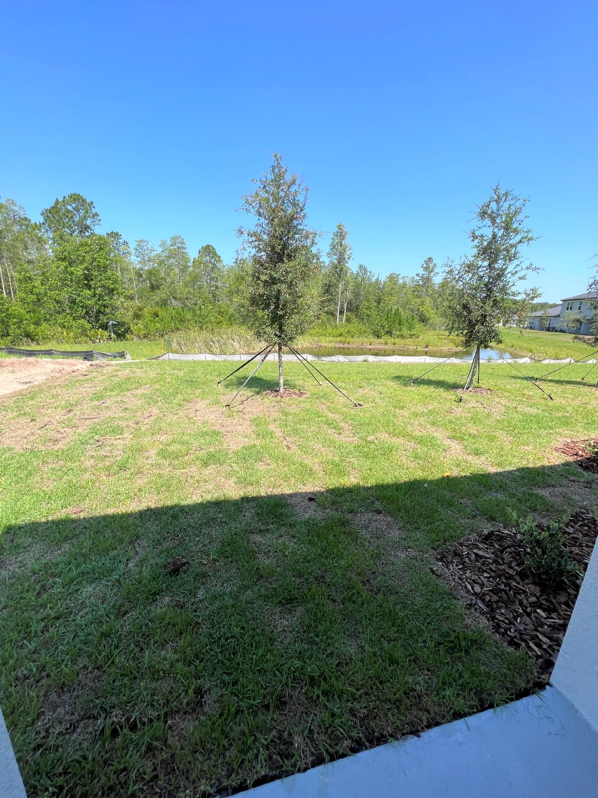 Brand New 3 Bed, 2 Bath, 1 Car Garage Villa In Angeline property image