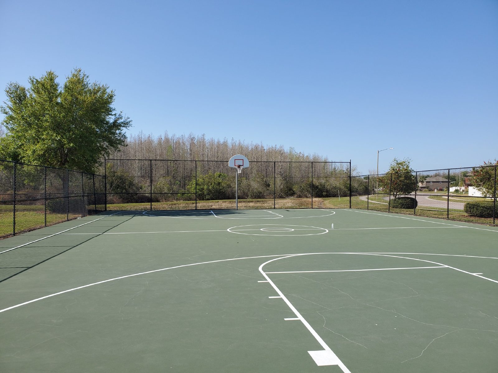 3 Bedroom, 2 Bath / ALL TILE FLOORING / FRESH INTERIOR PAINT! property image