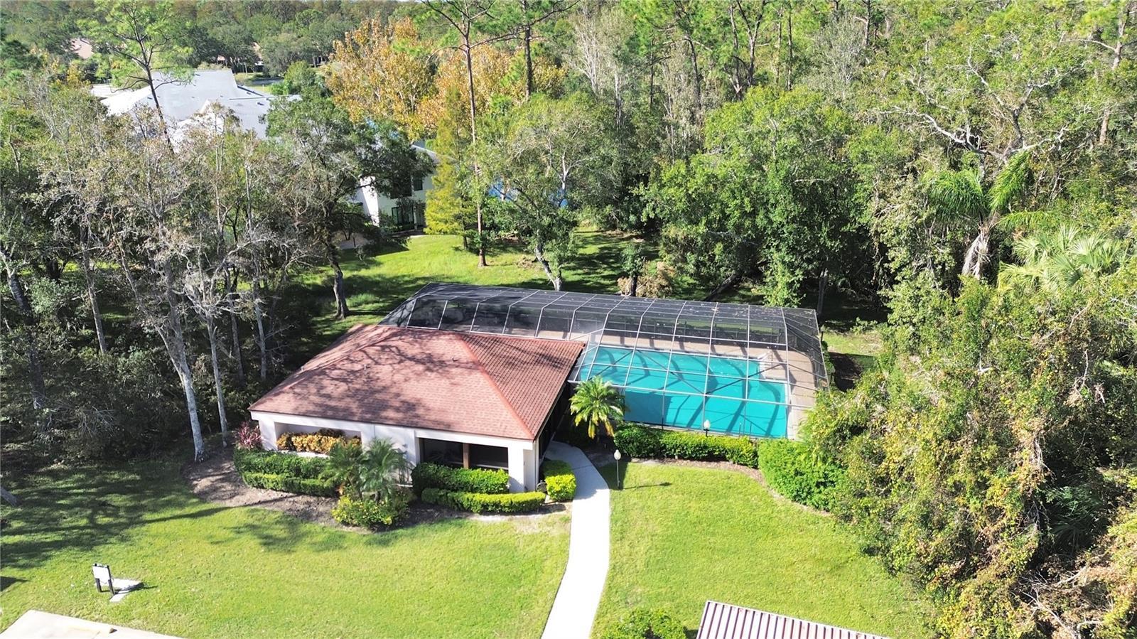 Palm Harbor 2/2 Pool & Sports Courts property image