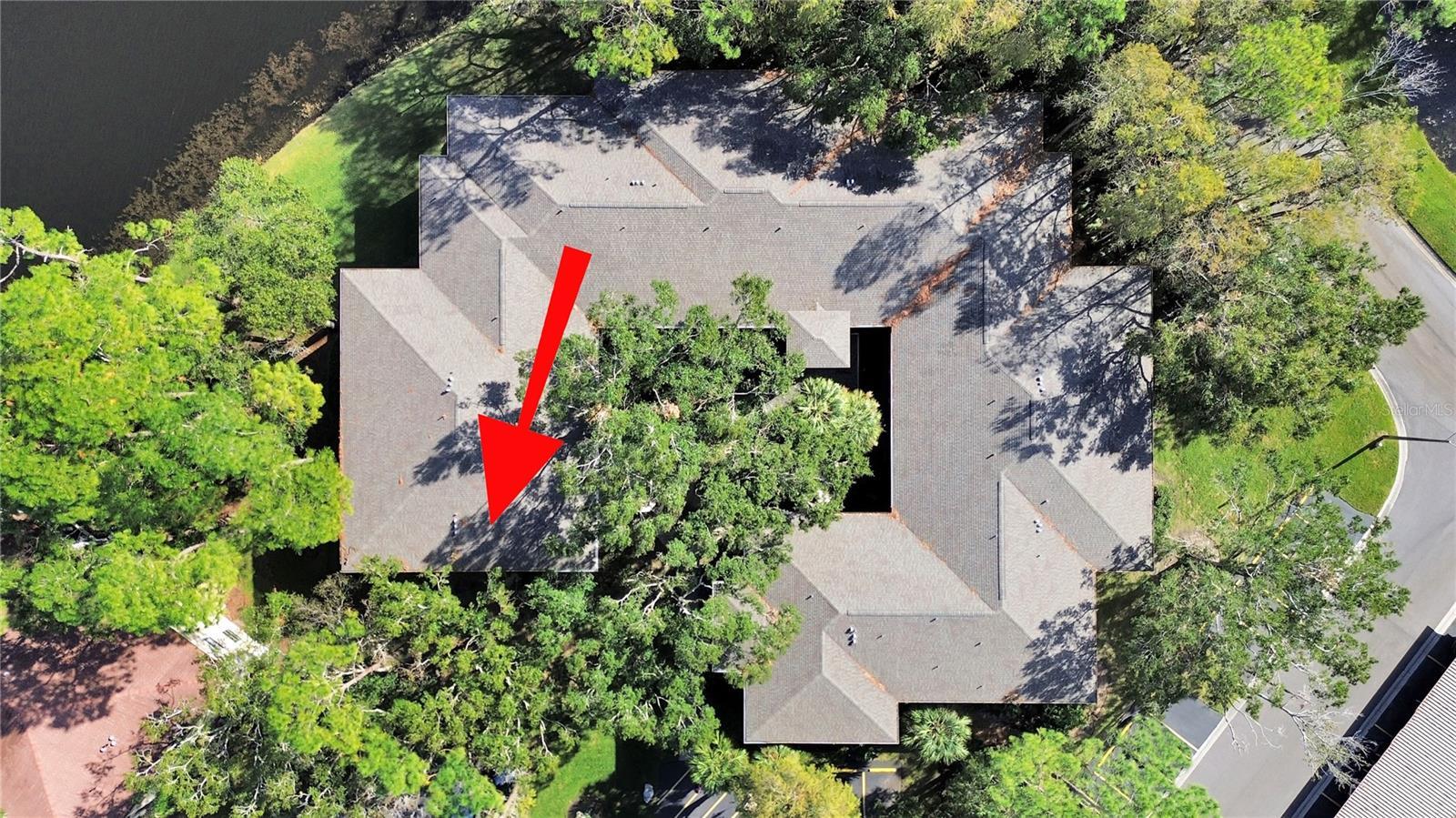 Palm Harbor 2/2 Pool & Sports Courts property image