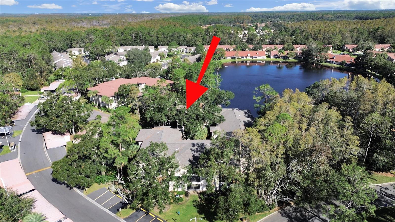 Palm Harbor 2/2 Pool & Sports Courts property image