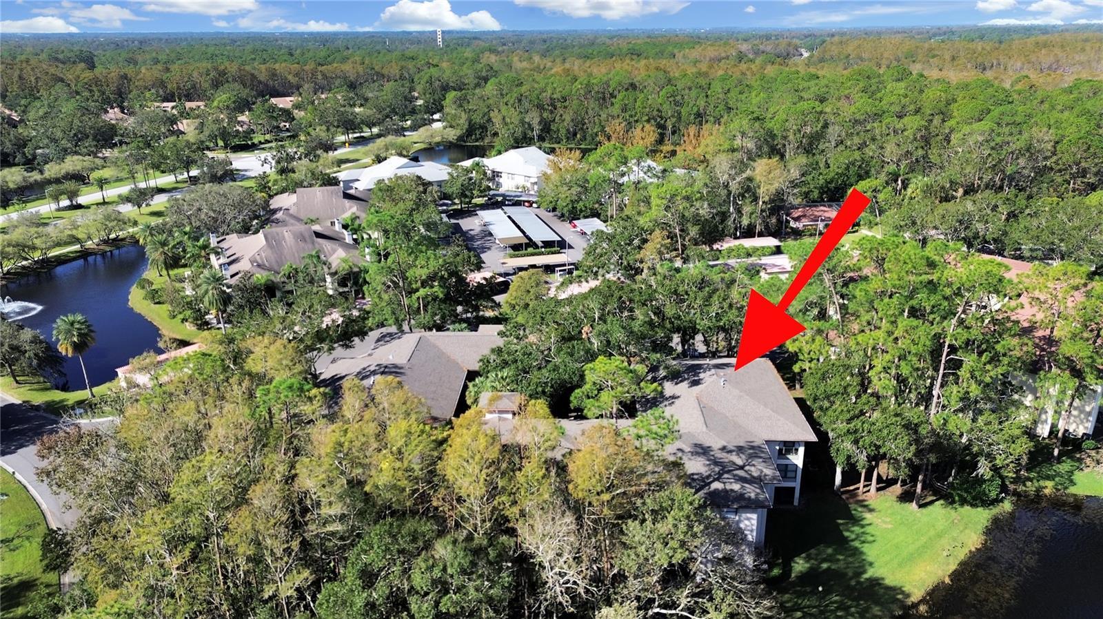 Palm Harbor 2/2 Pool & Sports Courts property image