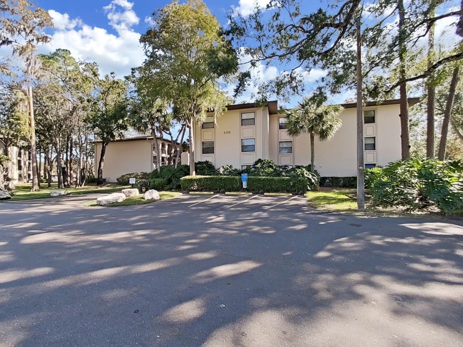 Palm Harbor 2/2 Pool & Sports Courts property image