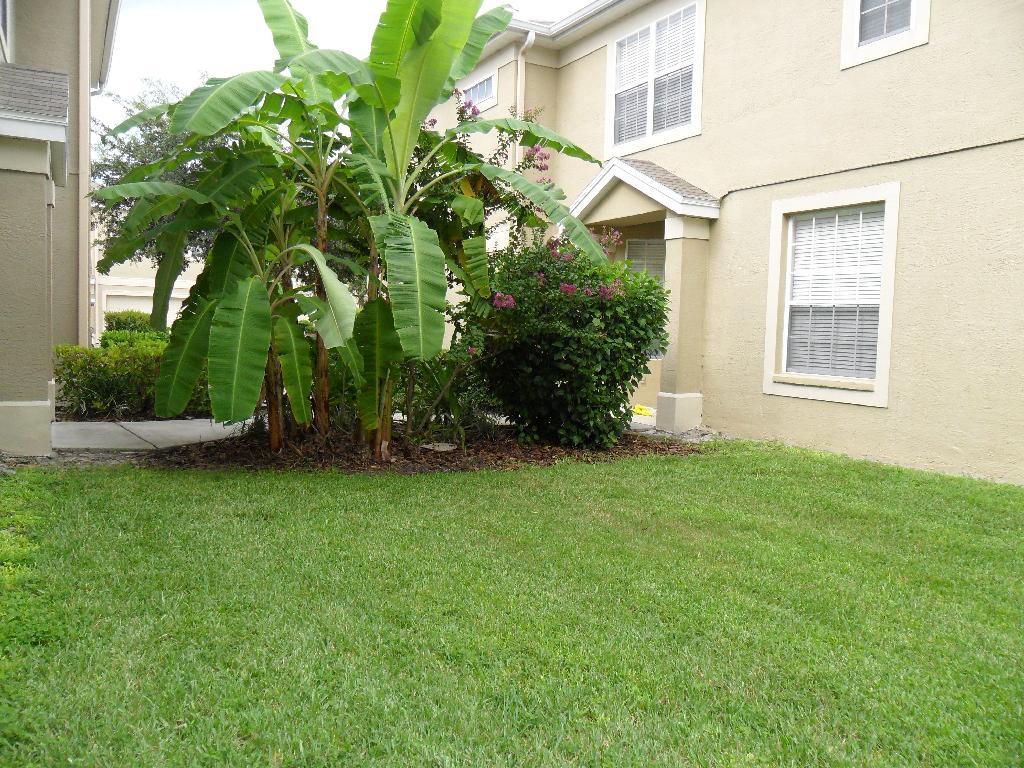 Westchase Townhome Ready For Move In! property image