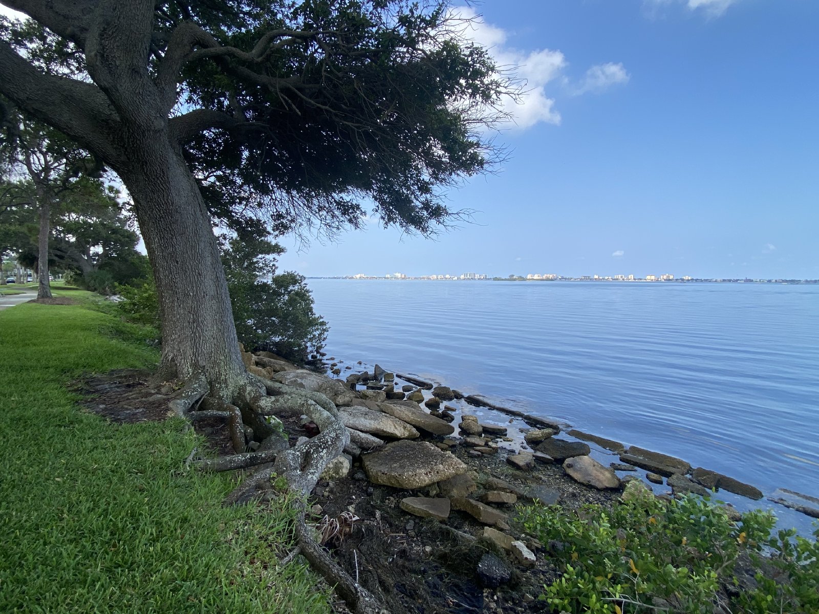 Adorable 2/2 In Clearwater Just 5 Miles To Clearwater Beach! property image