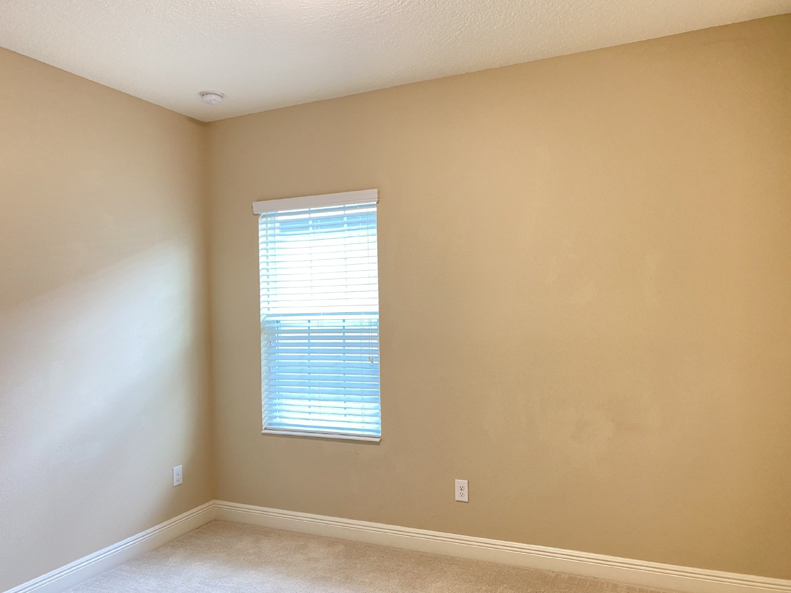 Gorgeous 4/2 In Desirable Location property image
