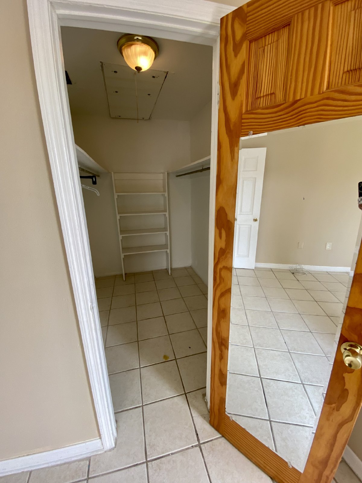 AVAILABLE AUGUST 5th Tampa! 1/1 Gated Community property image