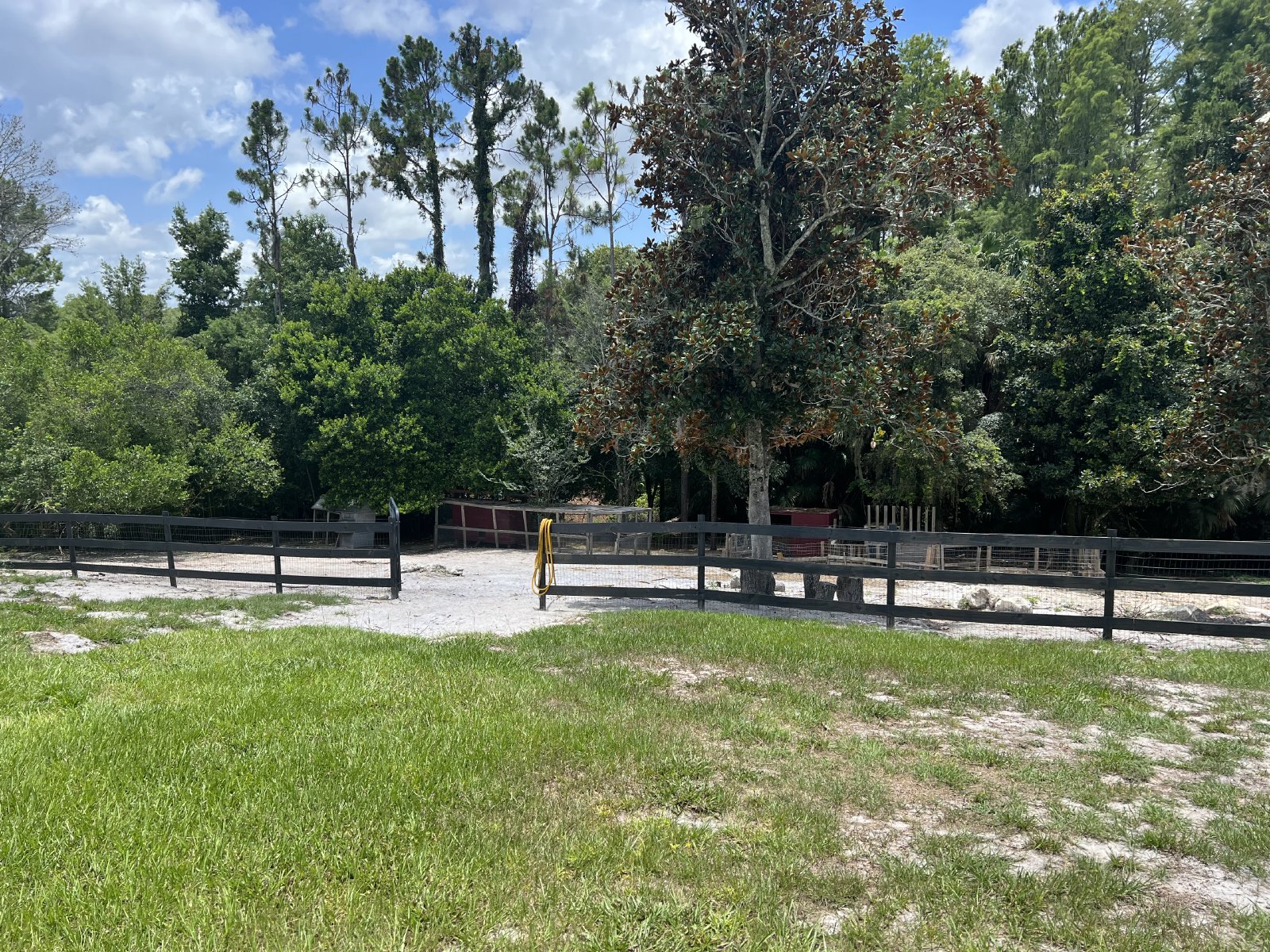 Gorgeous And Unique 5/2 Pool Home On A Very Large Lot! property image