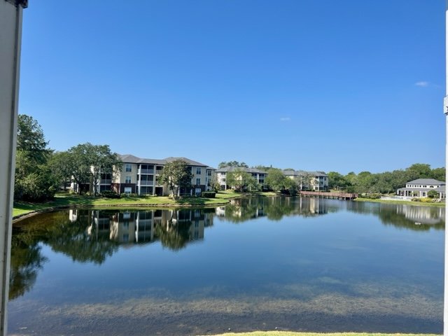 Two Bedroom Two Bath Condo In Gated Community - Carrollwood property image