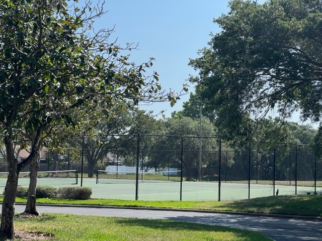 Two Bedroom Two Bath Condo In Gated Community - Carrollwood property image