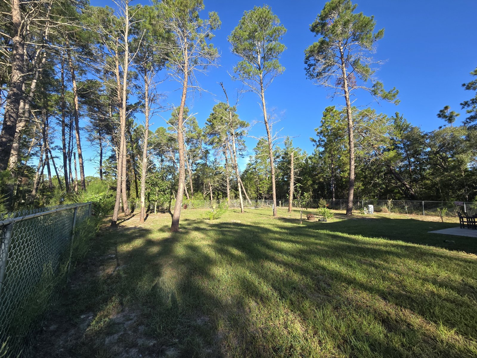 Beautiful 3/2/2 In Royal Highlands property image
