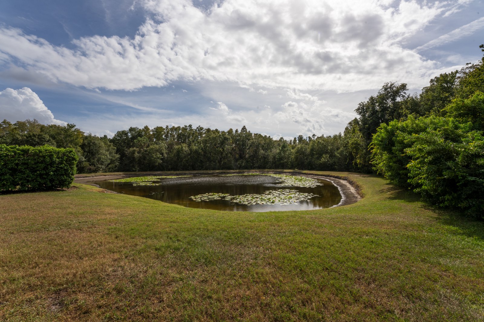Oakstead: Four Beds, Three Bath Pool Home. property image