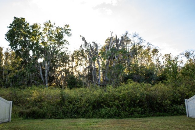 New! 5 Beds, 3 Baths In Cypress Preserve property image