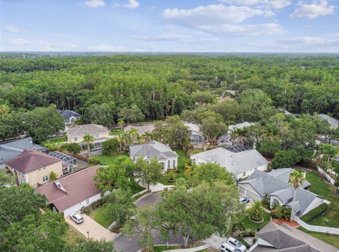 Gorgeous! Tampa Palms 4/3.5/2 Pool Home. property image
