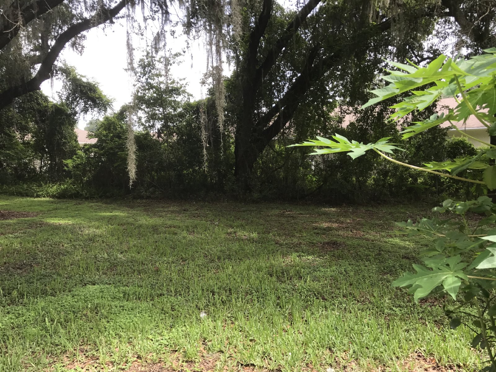 2/1 Duplex On Quiet Dead End Street property image