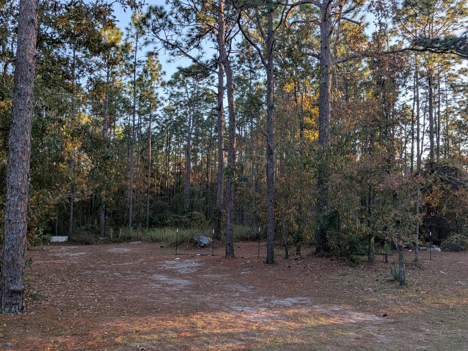 Nice 4/2 On Half Acre in Weeki Wachee property image