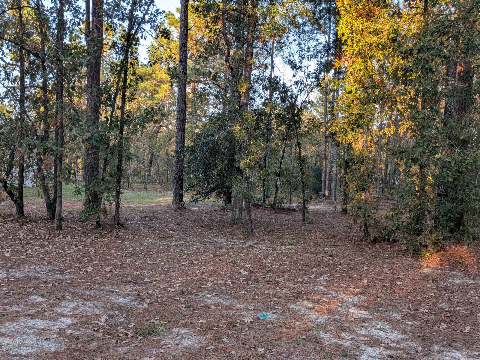 Nice 4/2 On Half Acre in Weeki Wachee property image