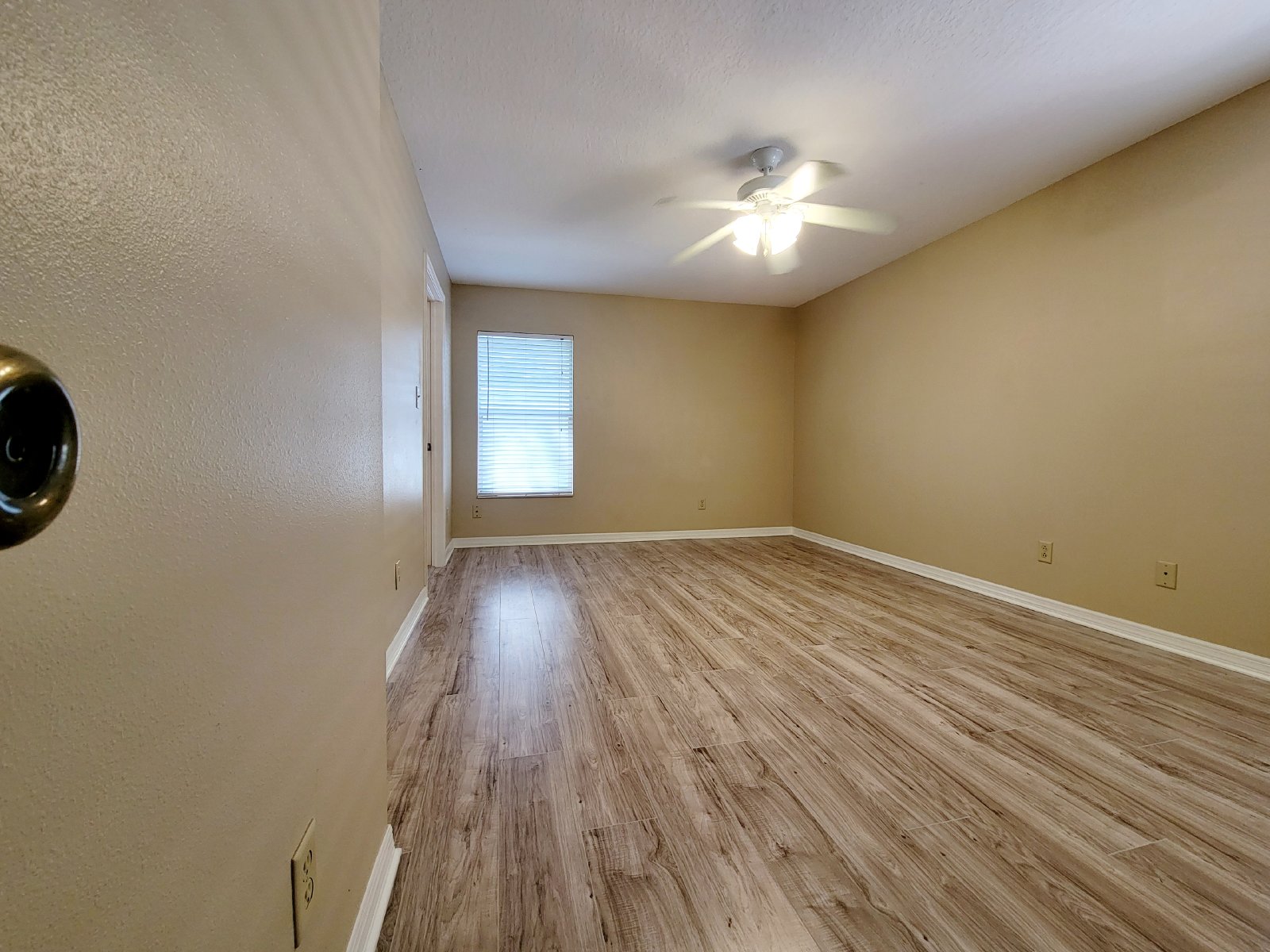 3/2 In Old West Tampa With Off Street Parking property image