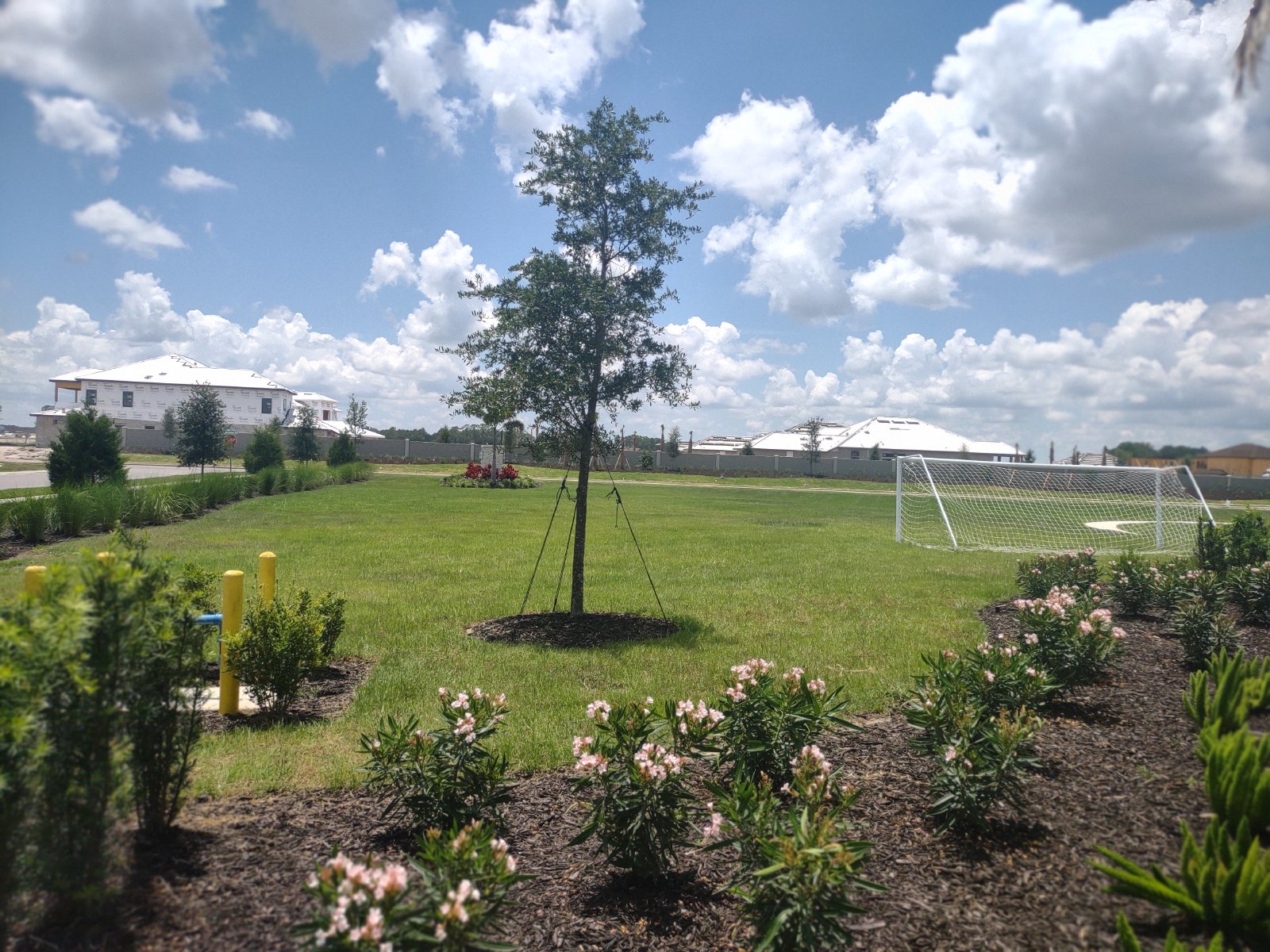 Brand New 3/3/1 Townhouse In River Landing property image