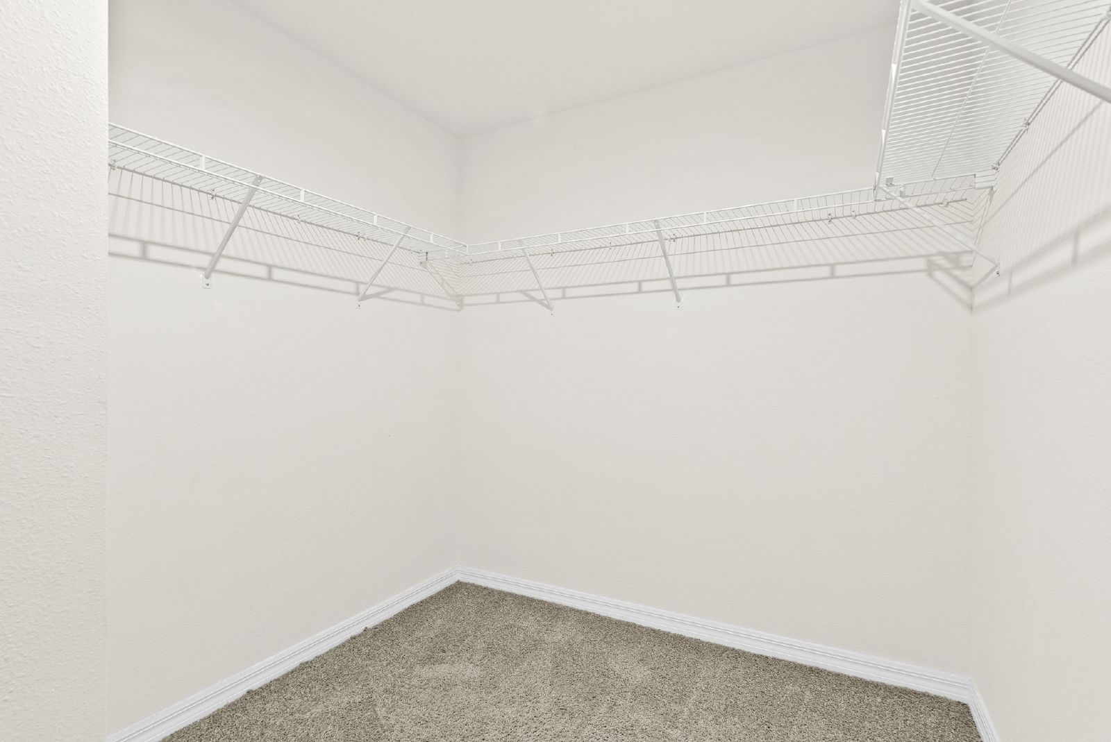 First Time Rental 4 Bed 2 Bath Fenced In Yard property image