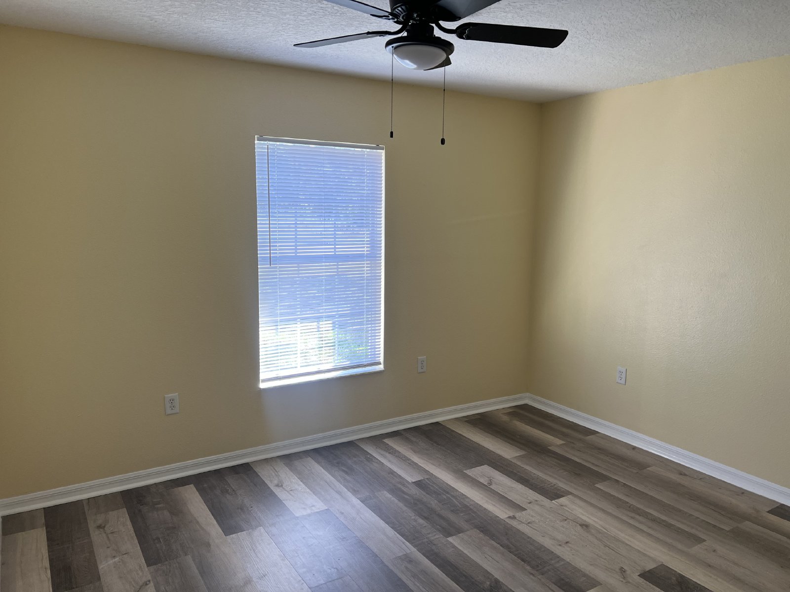 Beautifully Remodeled 3/2 In Spring Hill property image