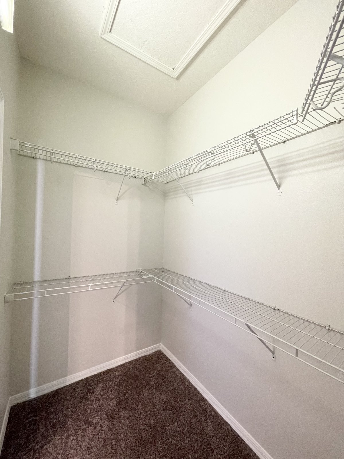 Move-In Ready 4 Bed, 2 Bath Home In Land O Lakes property image