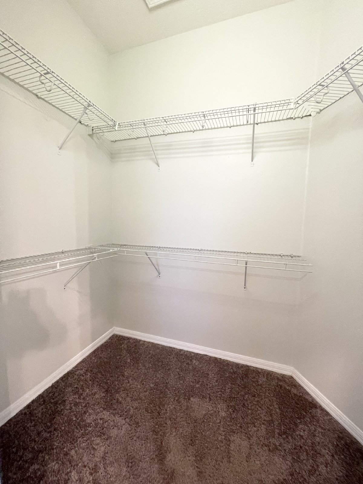 Move-In Ready 4 Bed, 2 Bath Home In Land O Lakes property image