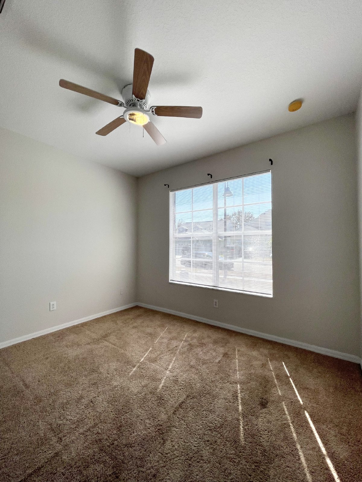 Move-In Ready 4 Bed, 2 Bath Home In Land O Lakes property image