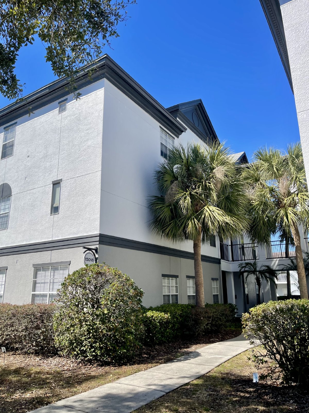 Spacious 2 Bed, 2 Bath Apartment In Gated Carrollwood Community property image