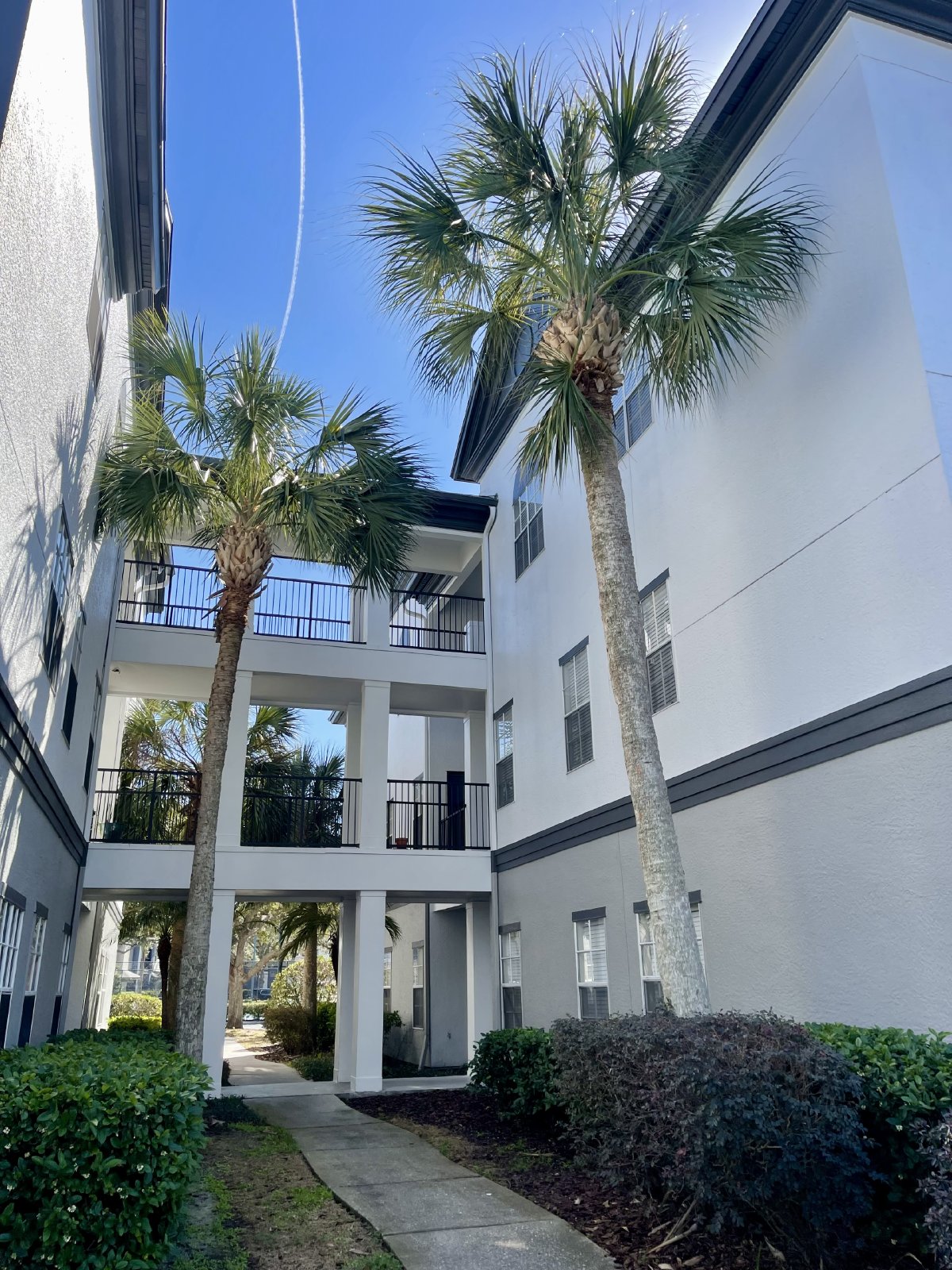 Spacious 2 Bed, 2 Bath Apartment In Gated Carrollwood Community property image