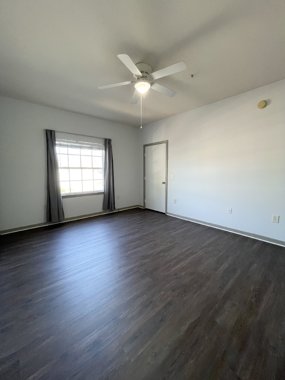 Spacious 2 Bed, 2 Bath Apartment In Gated Carrollwood Community property image