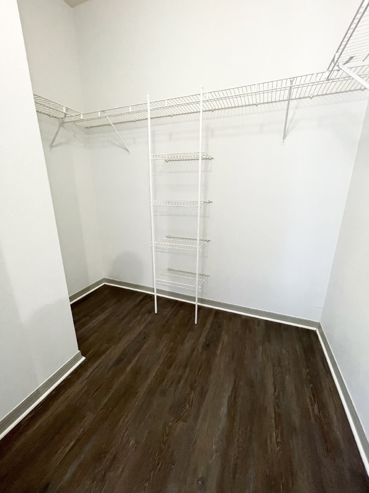 Spacious 2 Bed, 2 Bath Apartment In Gated Carrollwood Community property image