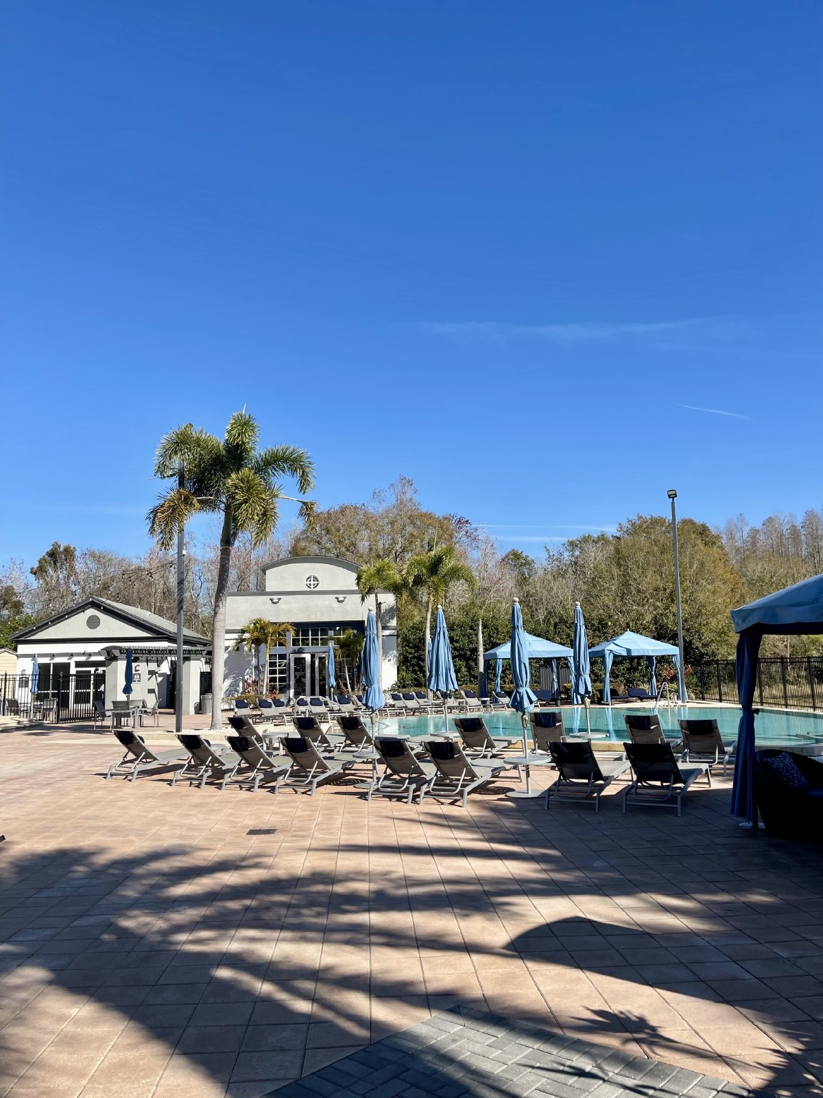 Spacious 2 Bed, 2 Bath Apartment In Gated Carrollwood Community property image