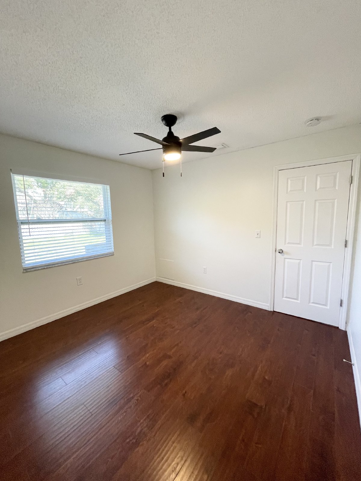 3 Bed, 2 Bath Home In New Port Richey property image