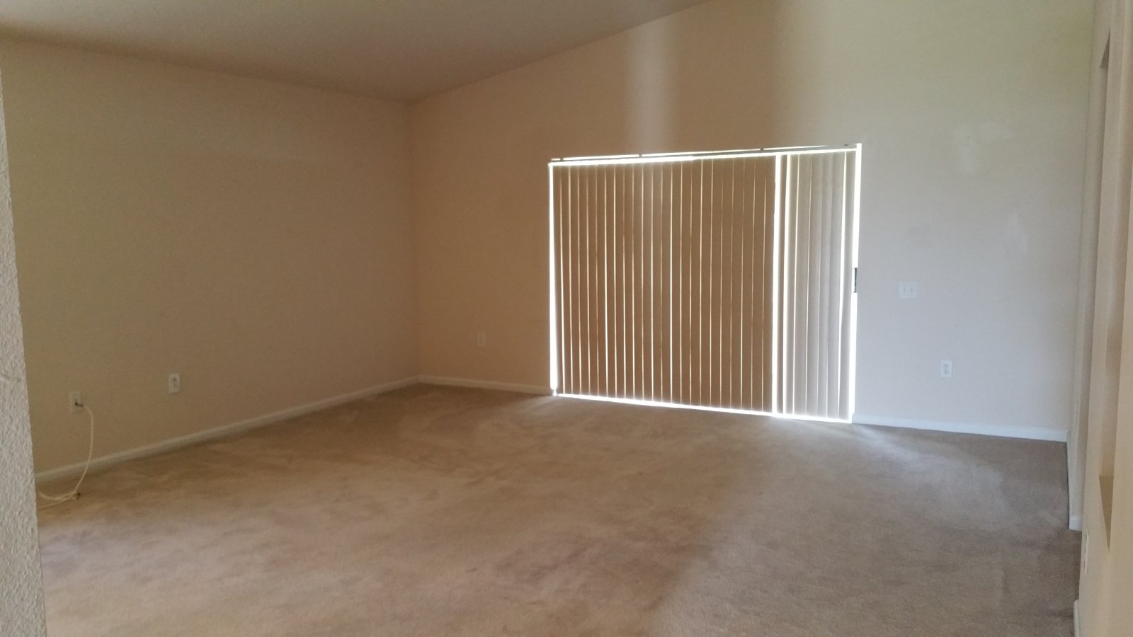 Beautiful 3 Bedroom Home In Palm Cove property image