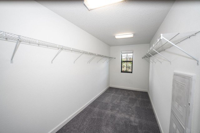 Four Bedroom/2.5 Bath In Union Park property image