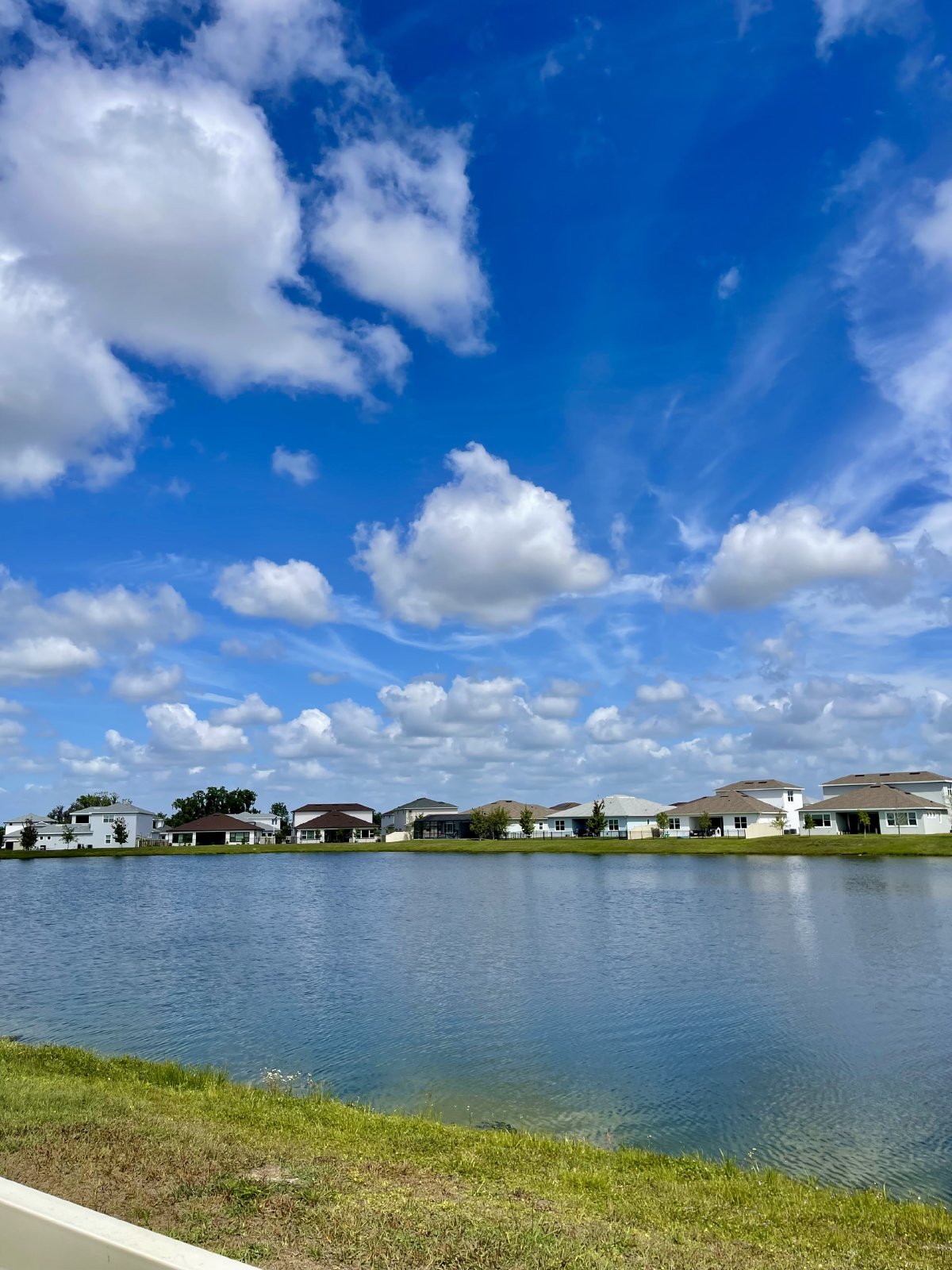Wesley Chapel 3BR Home with Water View & Lagoon Pool Access property image