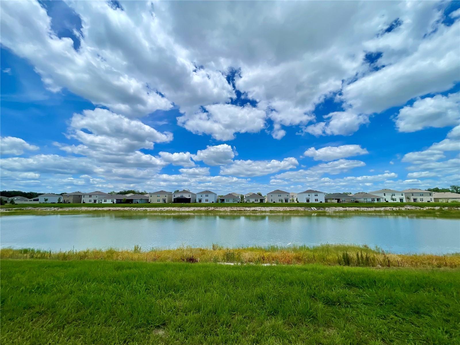 Move-In Ready 3 Bedroom Home In Zephyrhills property image