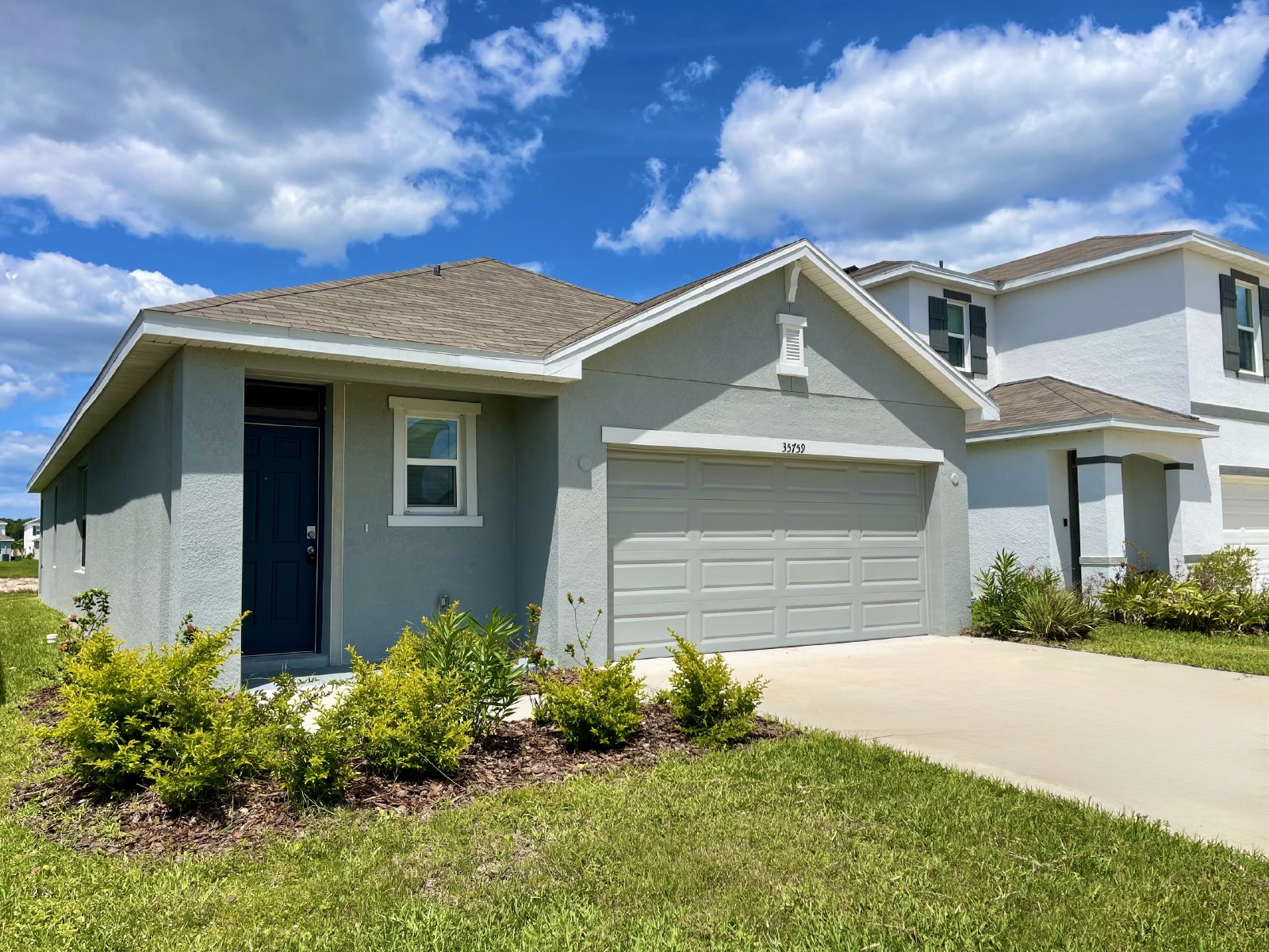 Move-In Ready 3 Bedroom Home In Zephyrhills property image
