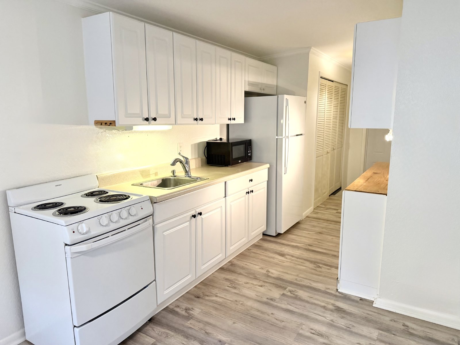 Two bedroom home for rent in North St Petersburg property image