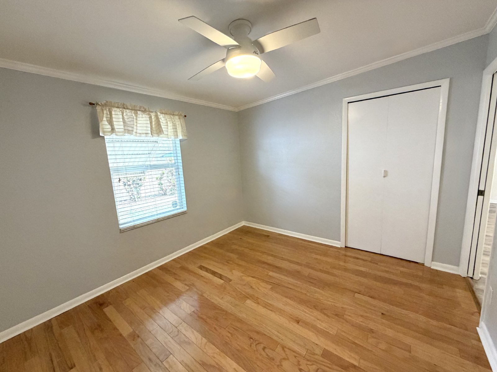 Two bedroom home for rent in North St Petersburg property image