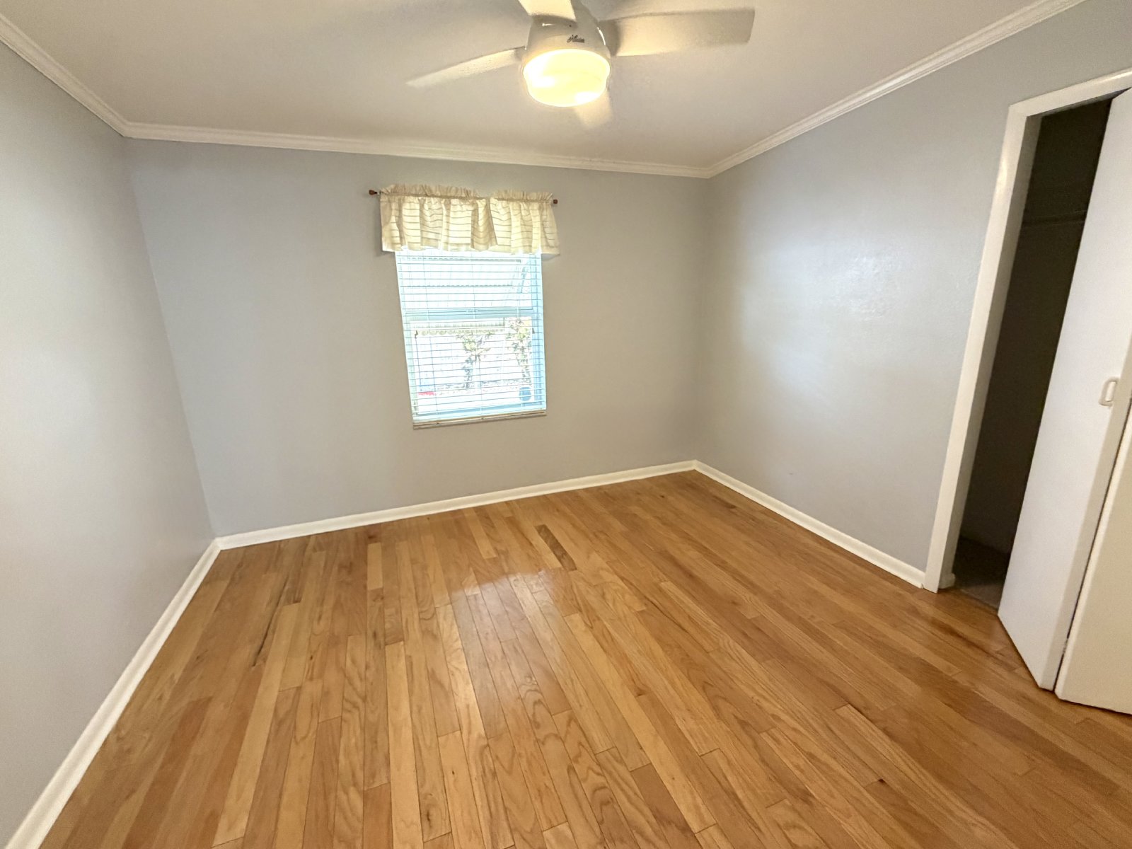 Two bedroom home for rent in North St Petersburg property image