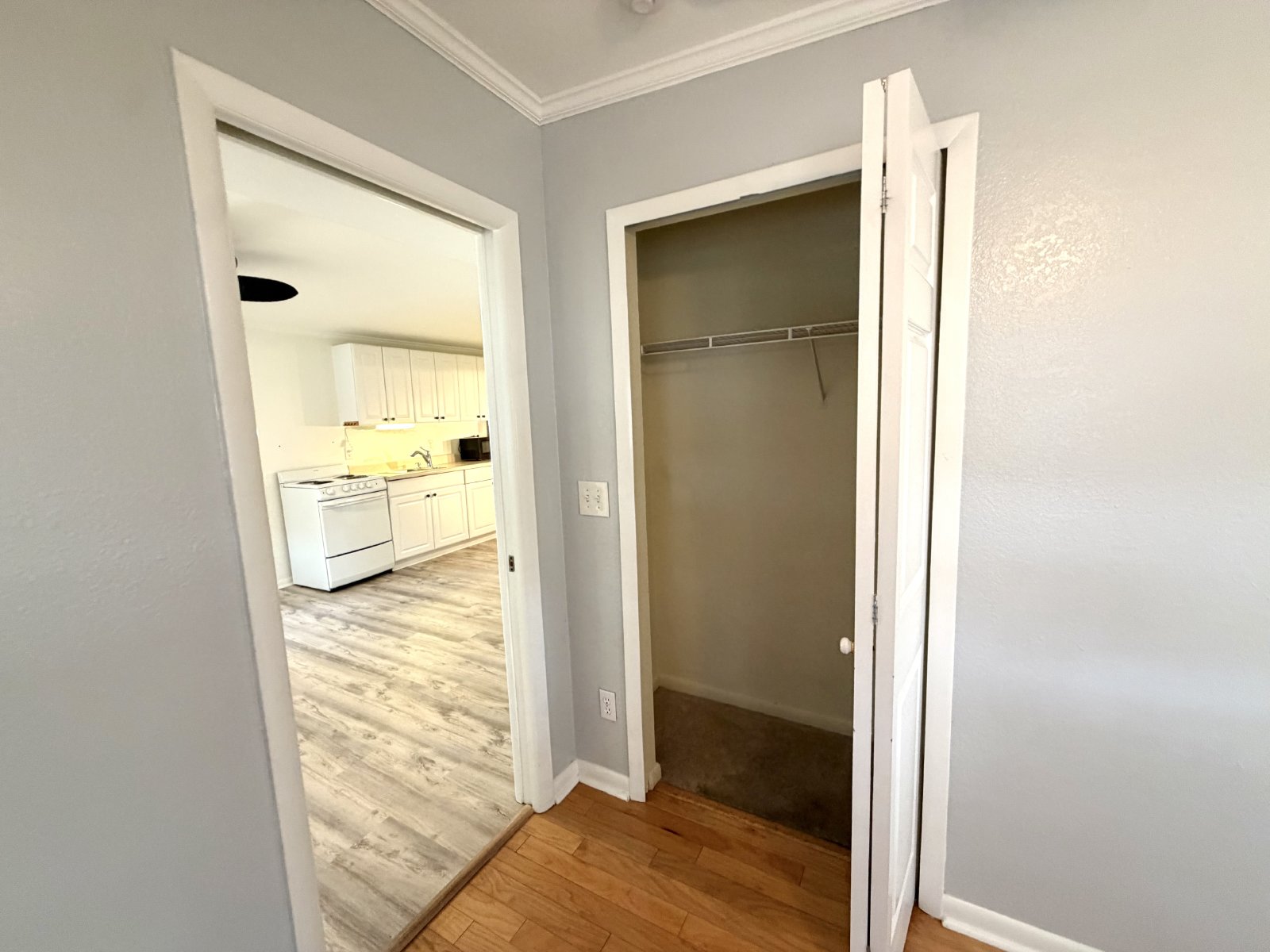 Two bedroom home for rent in North St Petersburg property image