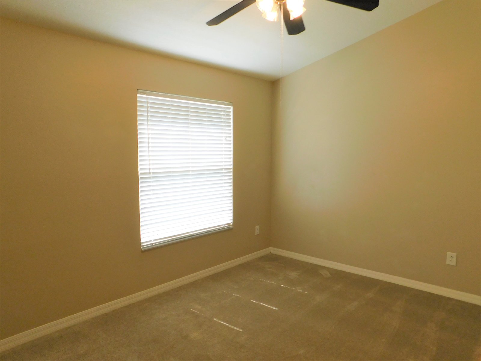 Beautiful Townhouse In Westchase/Countryway Area property image