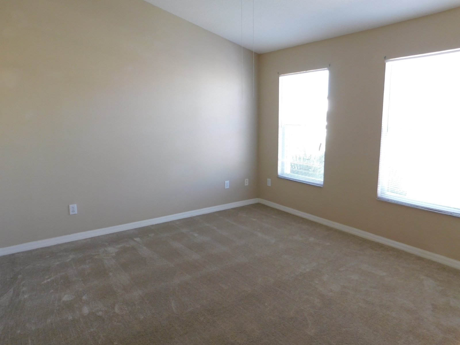 Beautiful Townhouse In Westchase/Countryway Area property image
