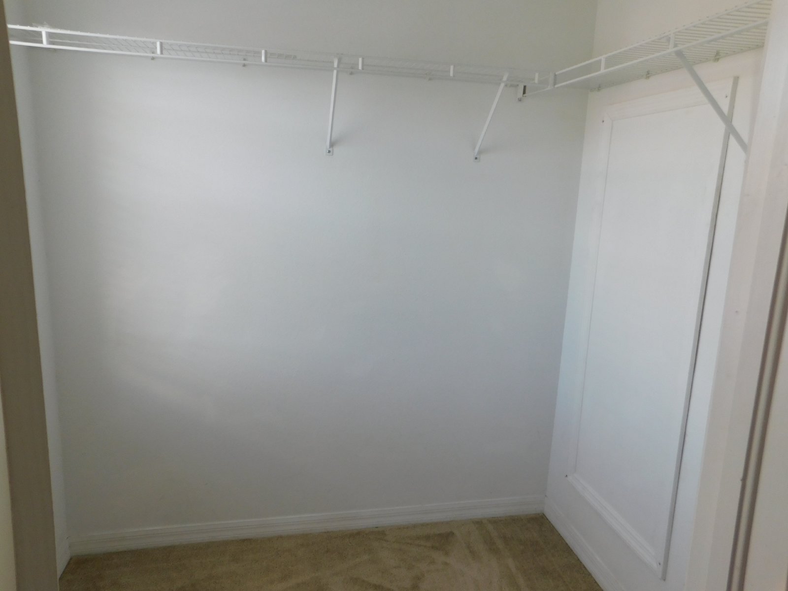 Beautiful Townhouse In Westchase/Countryway Area property image