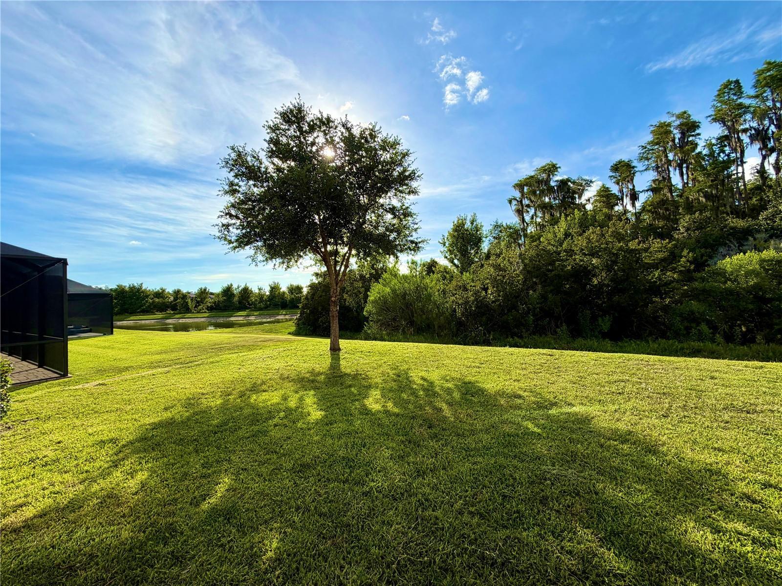 Stunning 5Bed 4Bath Home In New Tampa property image