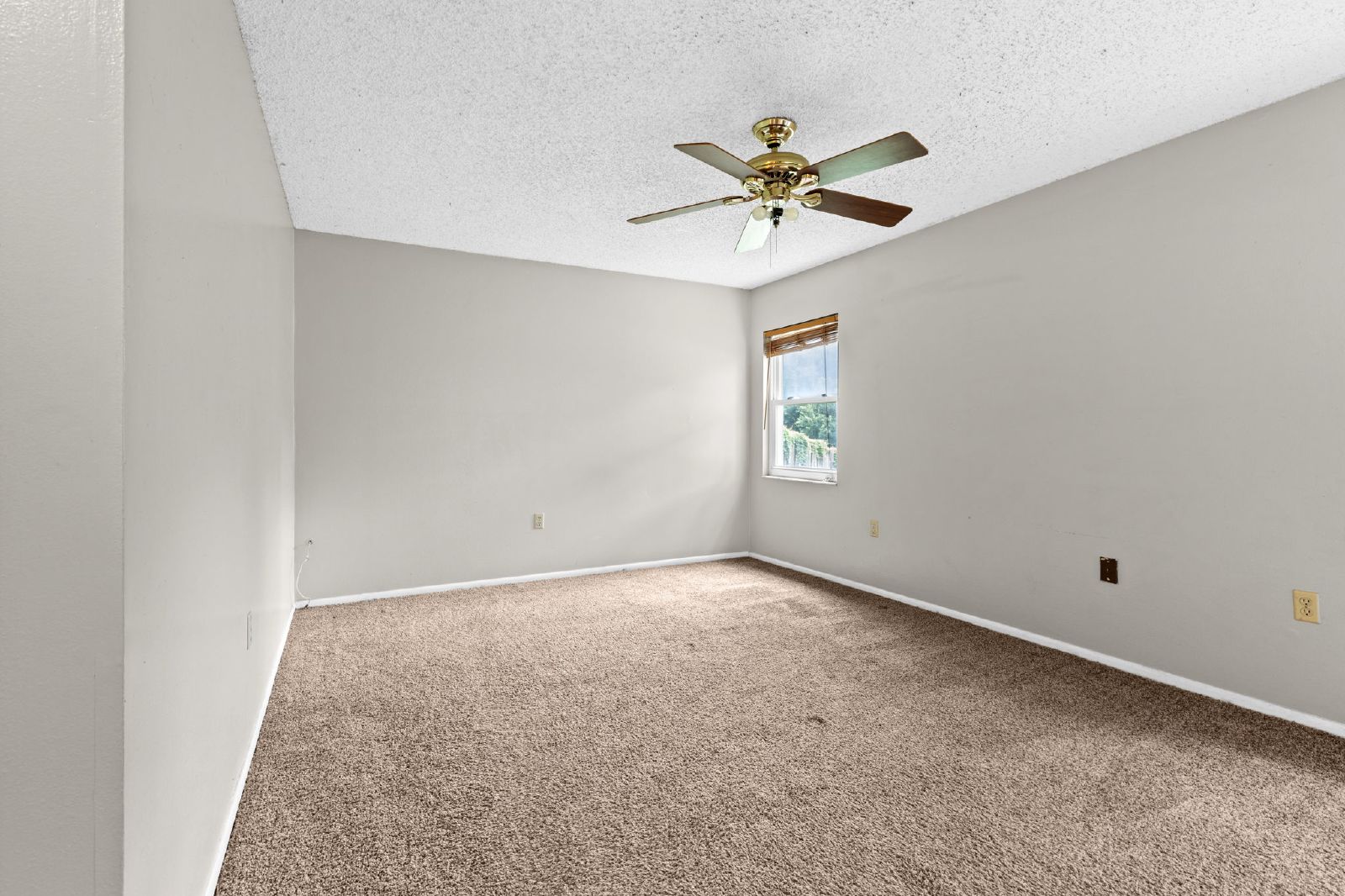Charming 3 Bed 2 Bath On A Large Conservation Lot property image