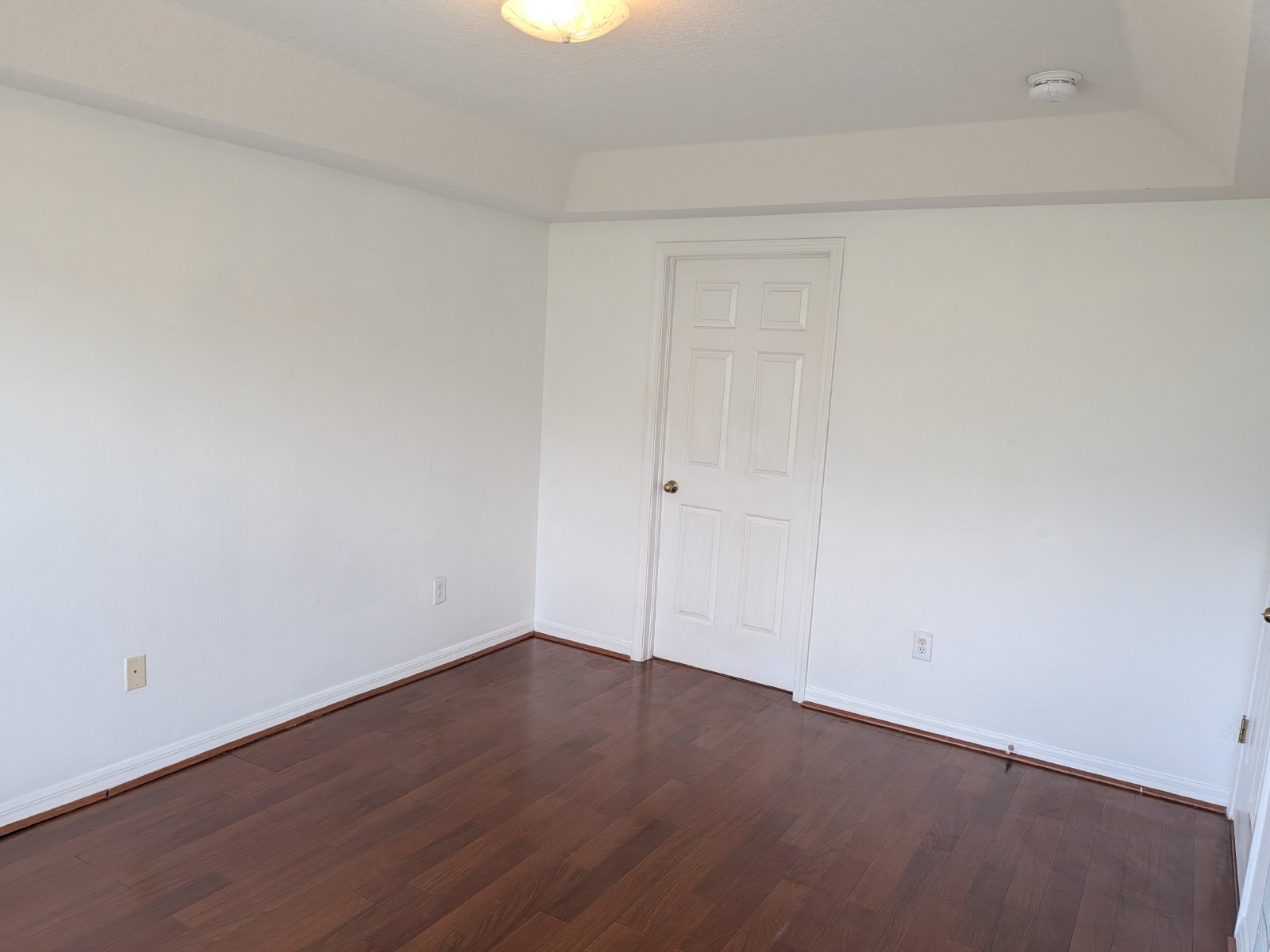 Nice 4/2/2 In Oak Grove In Lutz property image