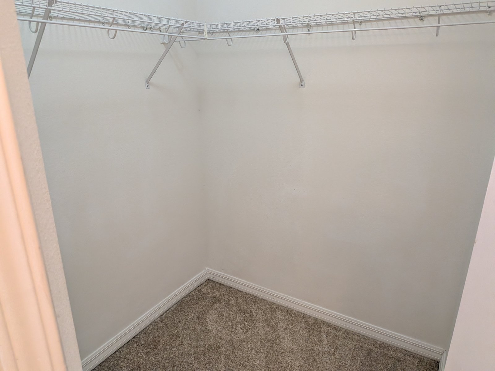 Nice 4/2/2 In Oak Grove In Lutz property image